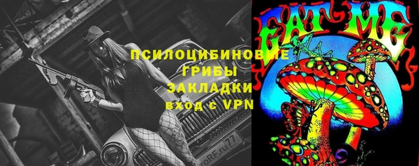 прущие крисы Нефтекумск