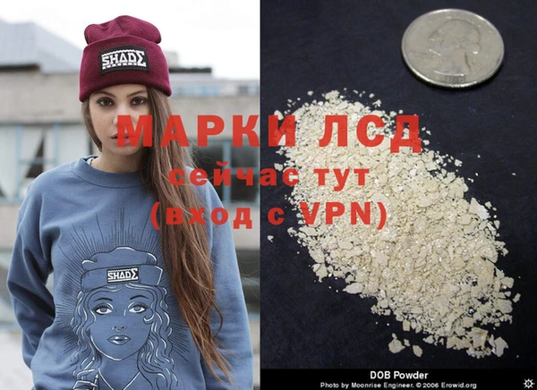 прущие крисы Нефтекумск